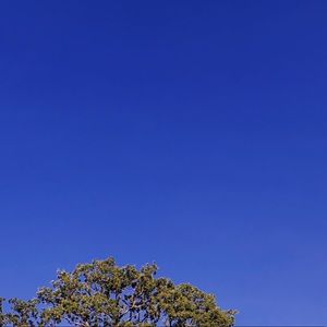 Meet your Posher, Cam